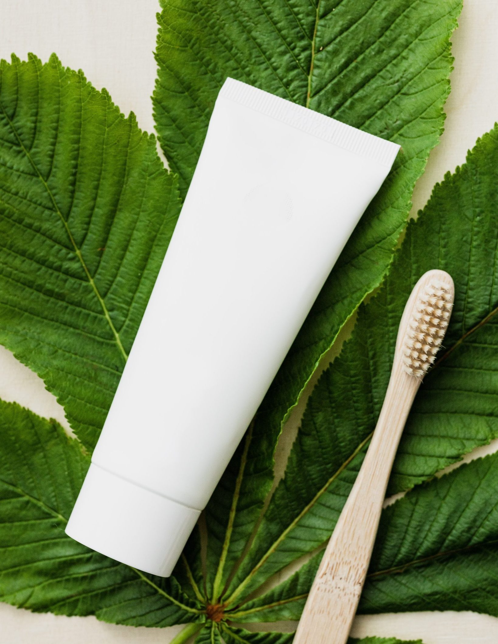 Environmental Awareness with Sustainable Toothbrushes 1 Boosting Environmental Awareness with Sustainable Toothbrushes