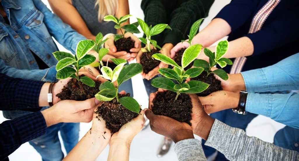 The Hidden Cost of Convenience: Unveiling the Environmental Impact of Modern Lifestyles 1 Unveiling the Environmental Impact of Modern Lifestyles