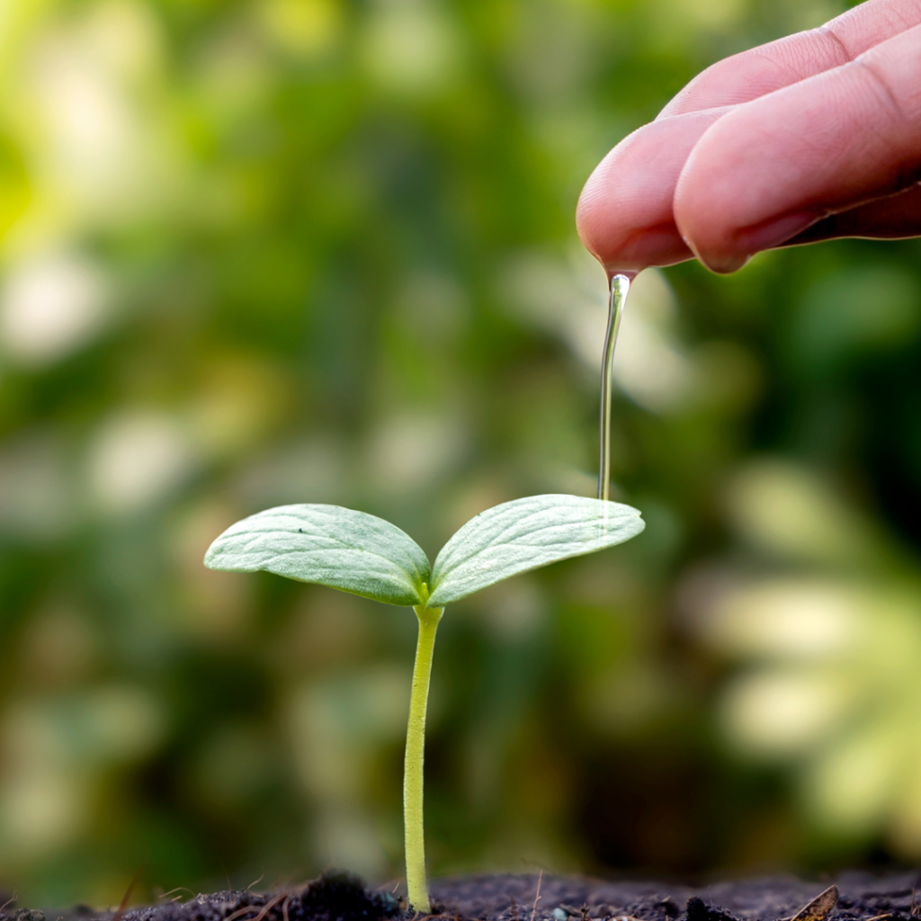 Environmental awareness: A Call to Preserve Our Environment 1 White and Black Simple Modern Earbuds Amazon Product Image 1 1