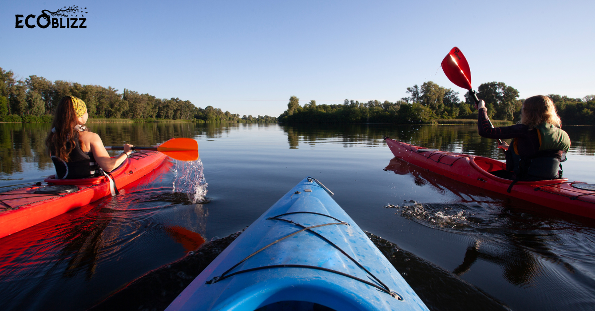 Kayakers Paddle Clean: Eco-Tour Groups Say No to Motorboats
