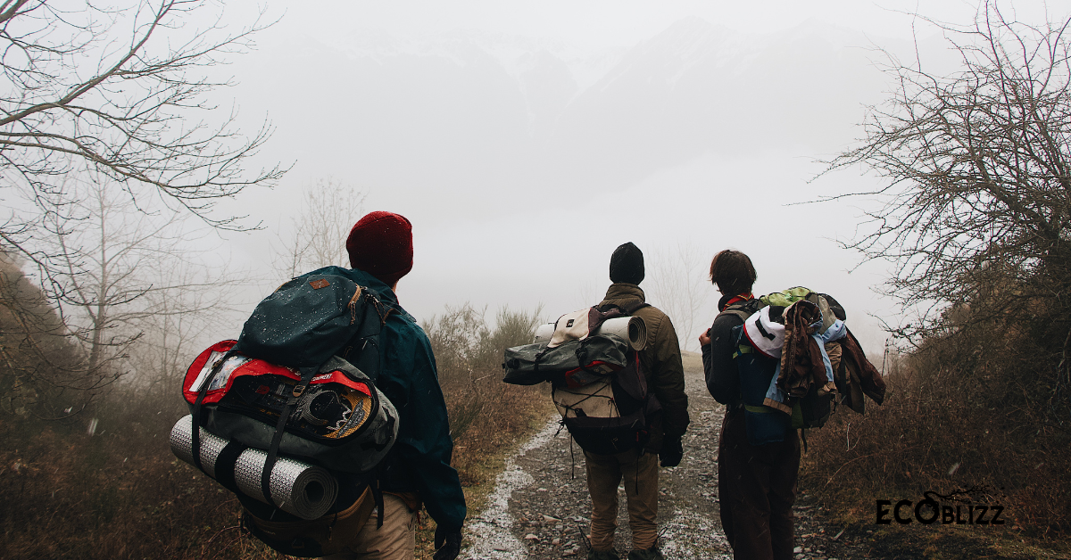 Trade the Gym for a Nature Hike and Save Energy While You Sweat