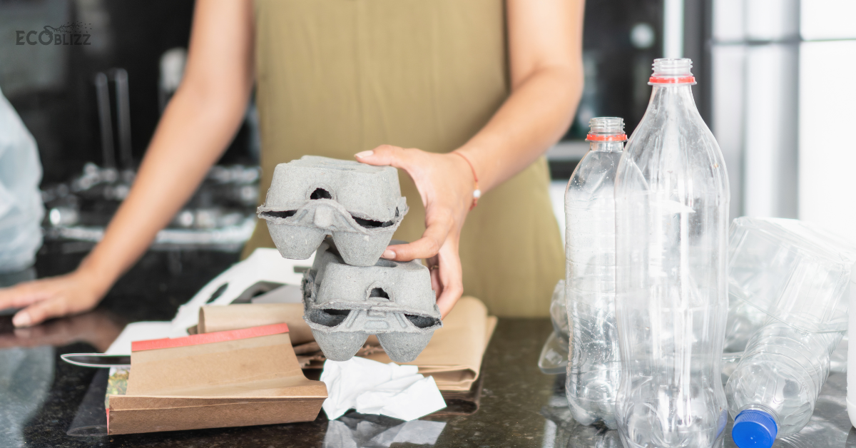 Eco-Friendly Kitchen: Sustainable Living Tips to Reduce Food and Plastic Waste